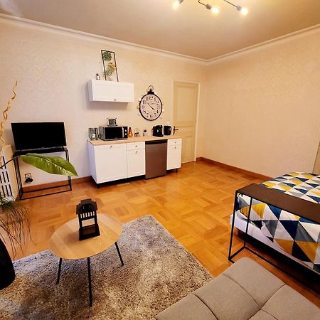 Superbe Appartement Calme Et Spacieux Graulhet Buitenkant foto