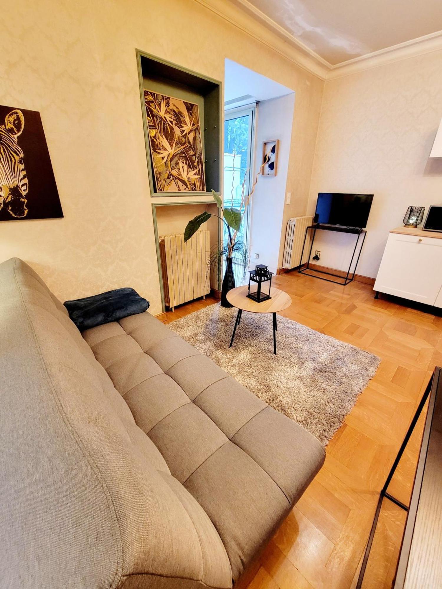 Superbe Appartement Calme Et Spacieux Graulhet Buitenkant foto