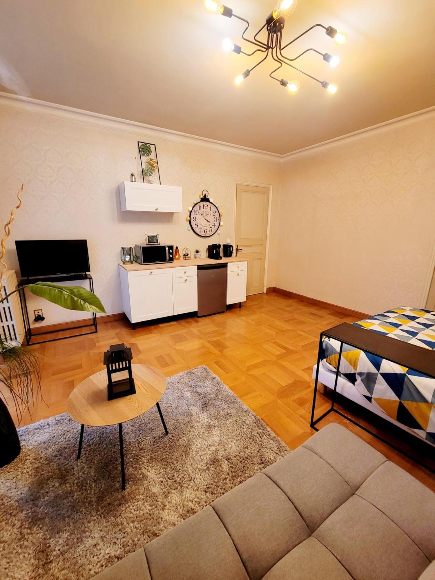 Superbe Appartement Calme Et Spacieux Graulhet Buitenkant foto